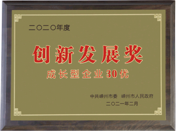 成長型企業30優
