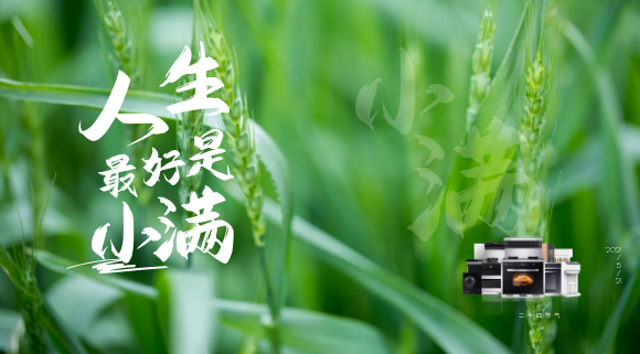 十大品牌科恩集成灶：廚房亦需“小滿”！